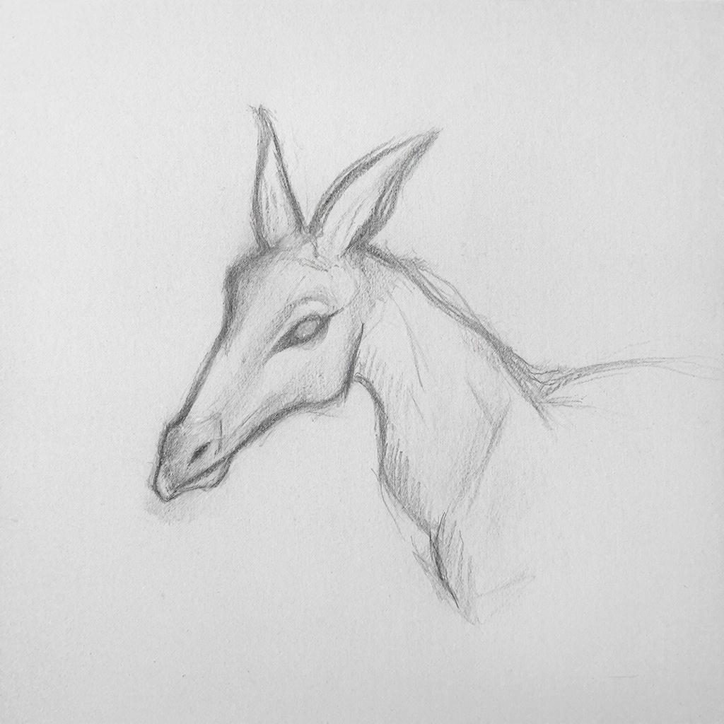 Козерог гороскоп на 22 марта 2026, воскресенье, весна